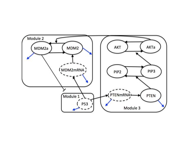 Gene Networks and Transcription Regulation